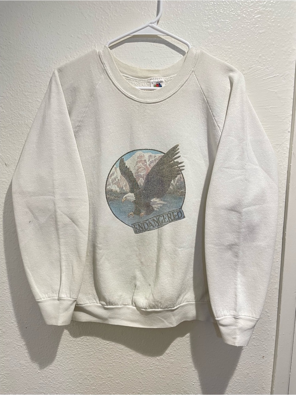 Vintage 90s Fruit Of The Loom Made In USA Endangered Eagle Crewneck Sweatshirt L